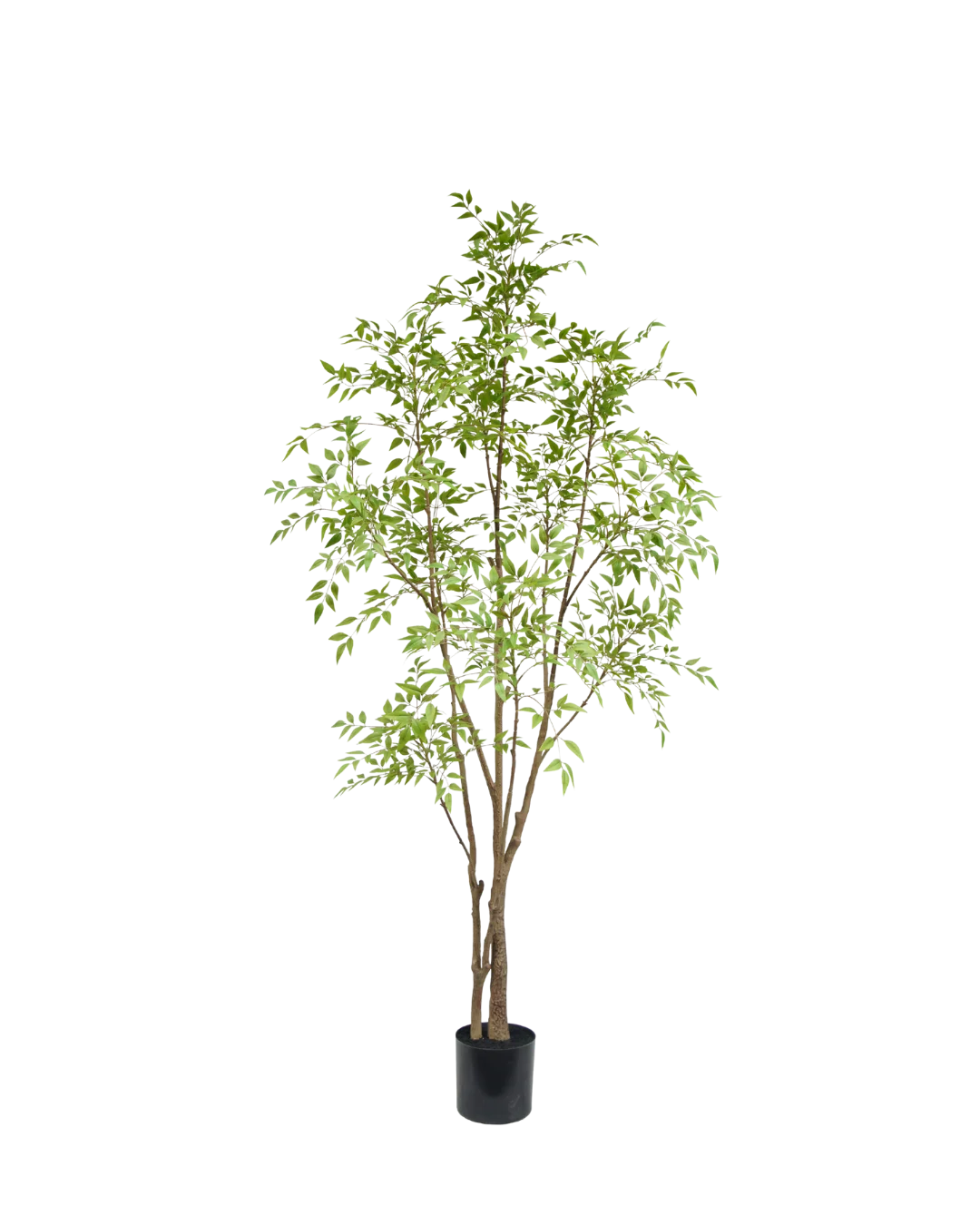 Kunstplant bamboo Nandina boom 210cm - Pauw Interieur