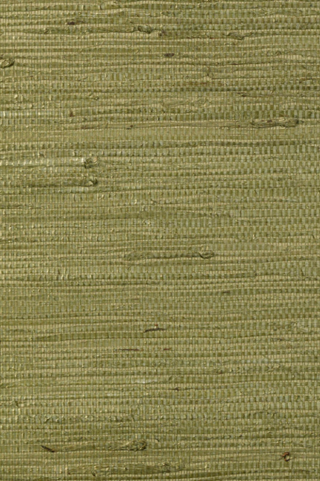 ARTE Kudzu Olive – 54530