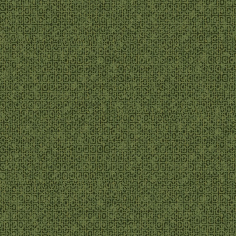 Khrôma Havana behang Ada Iguana HAV502