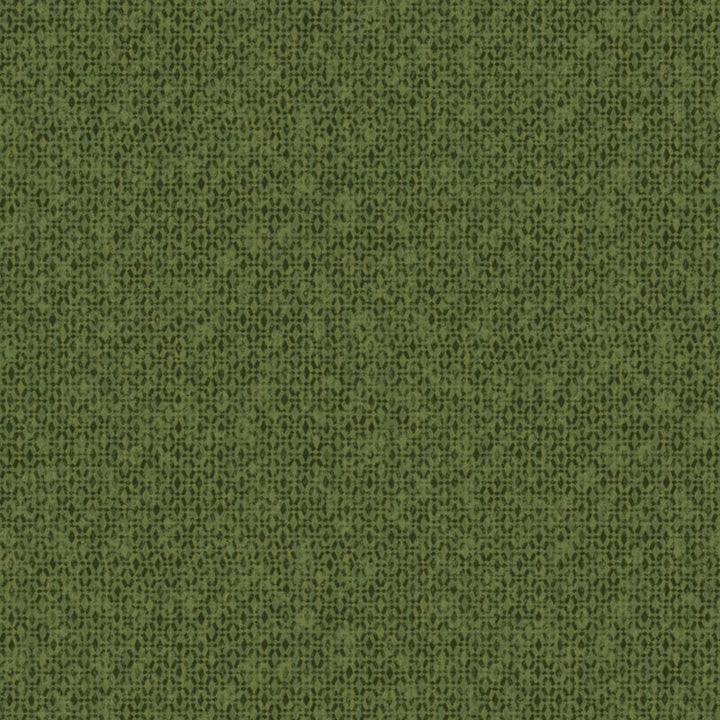 Khrôma Havana behang Ada Iguana HAV502