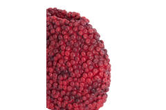 Vaas deco 32x18x27,5 cm BERRIES bordeaux