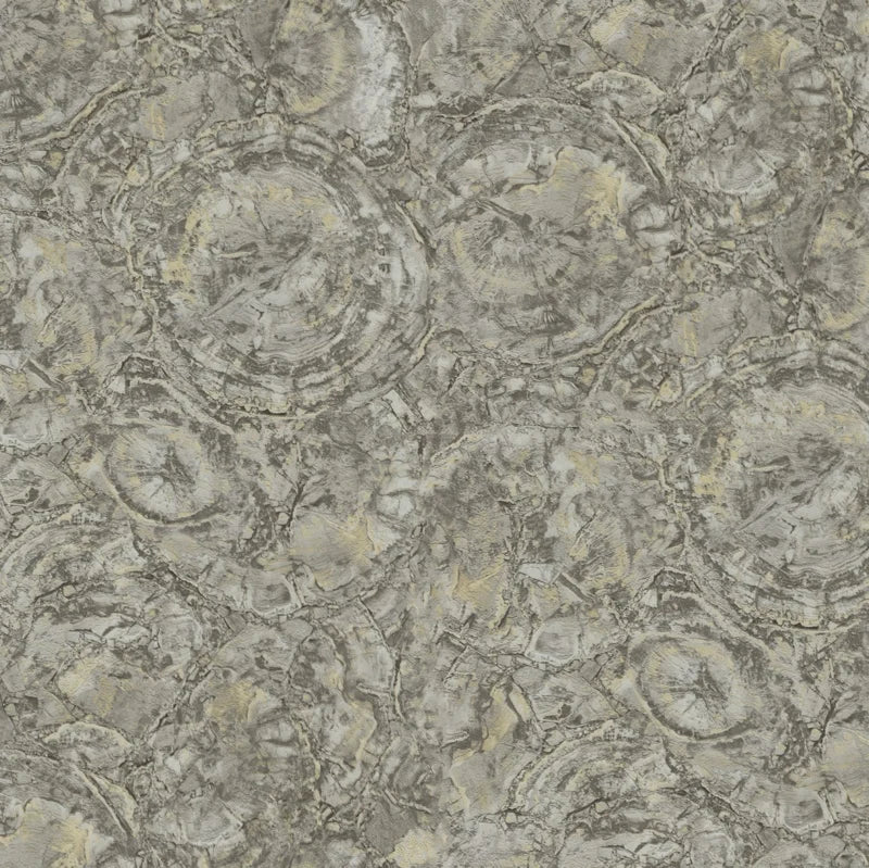 Dutch First Class Carrara 85617