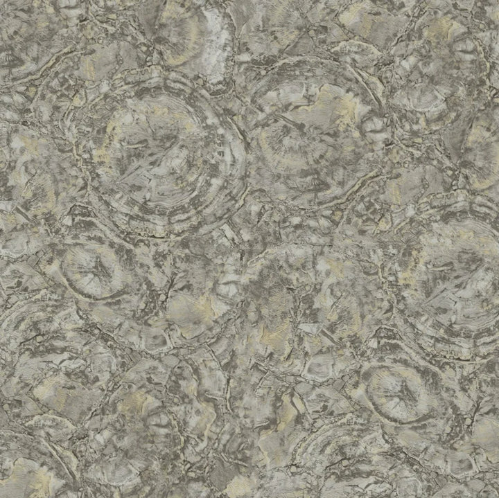 Dutch First Class Carrara 85617