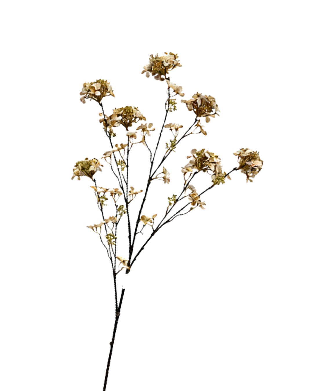 Hydrangea branch classic Hortensia 109CM