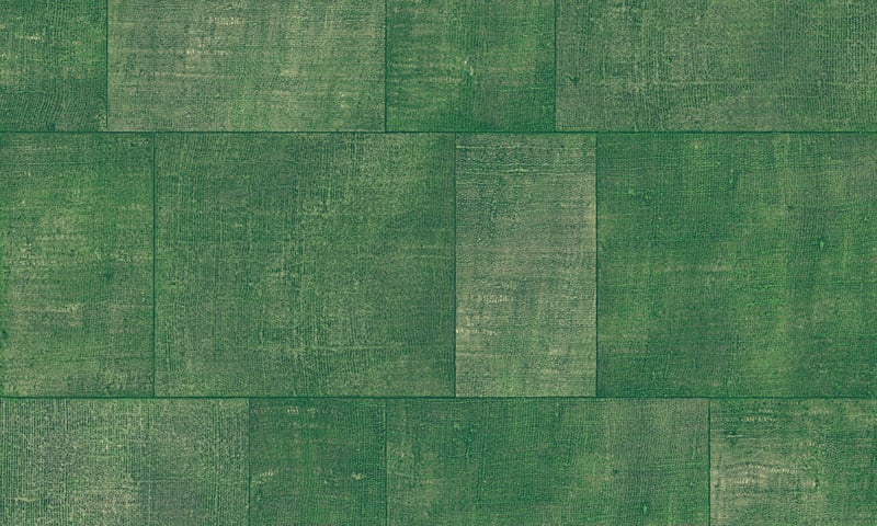 Arte Gitane behang Cuadro 49545