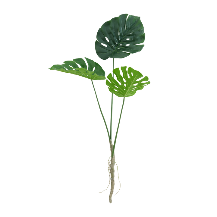 Monstera tak 120cm