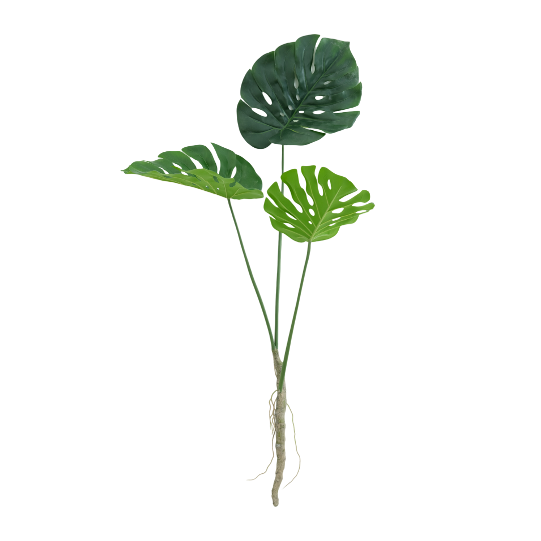 Monstera tak 120cm