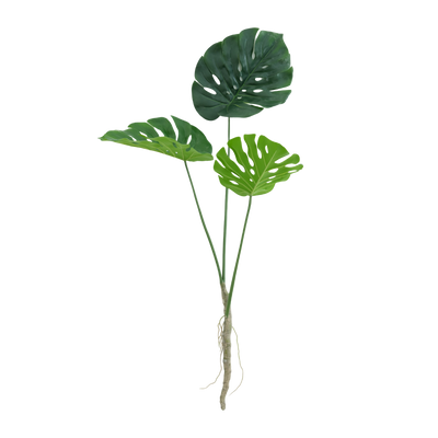 Monstera tak 120cm