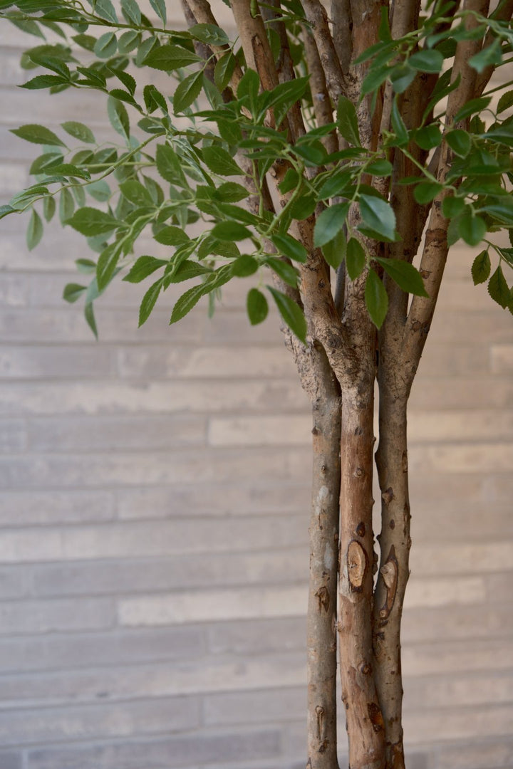 Silk House Nandina boom 180cm (wood)