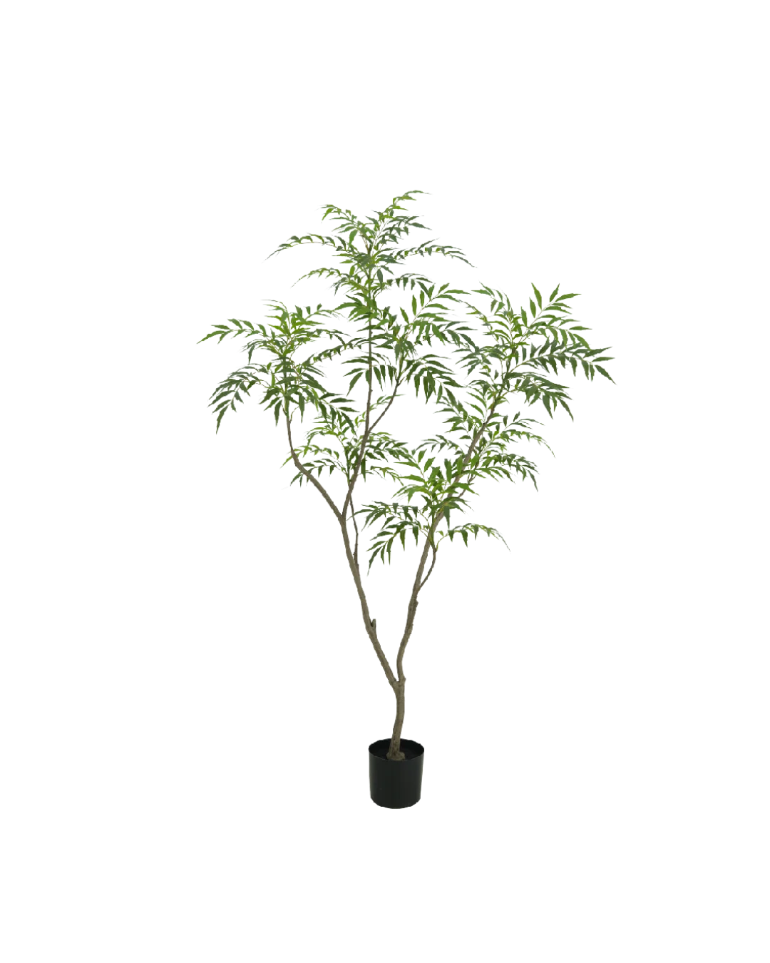 Bamboe boom 150cm