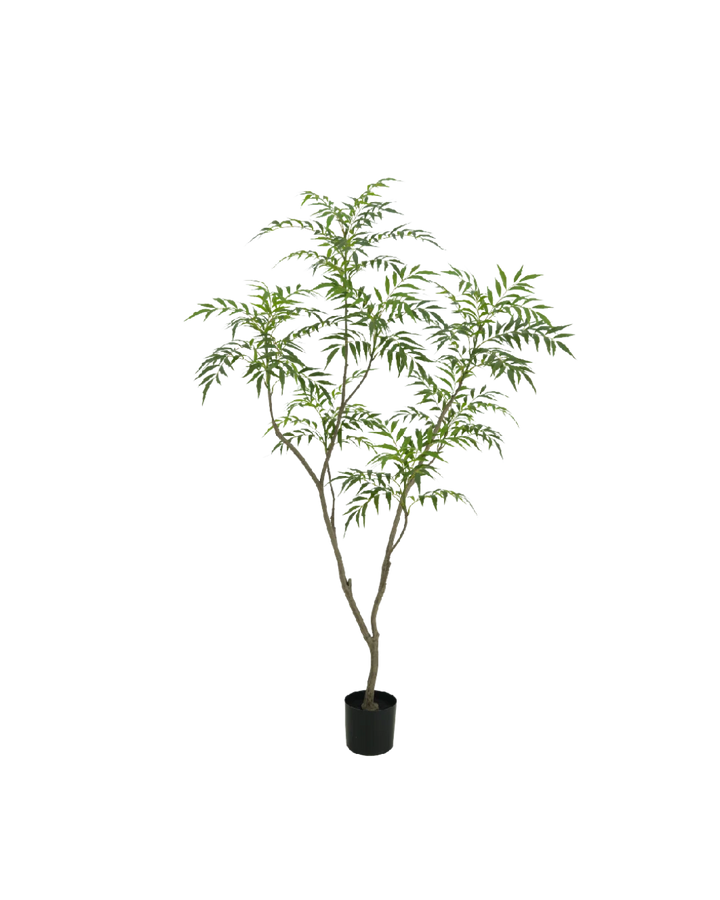 Bamboe boom 150cm