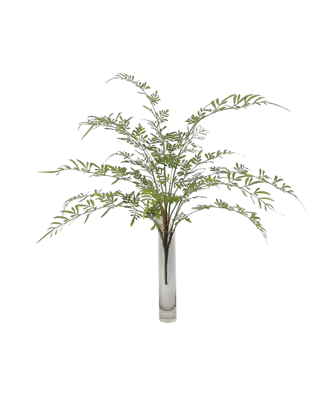 Alconia steker 92cm