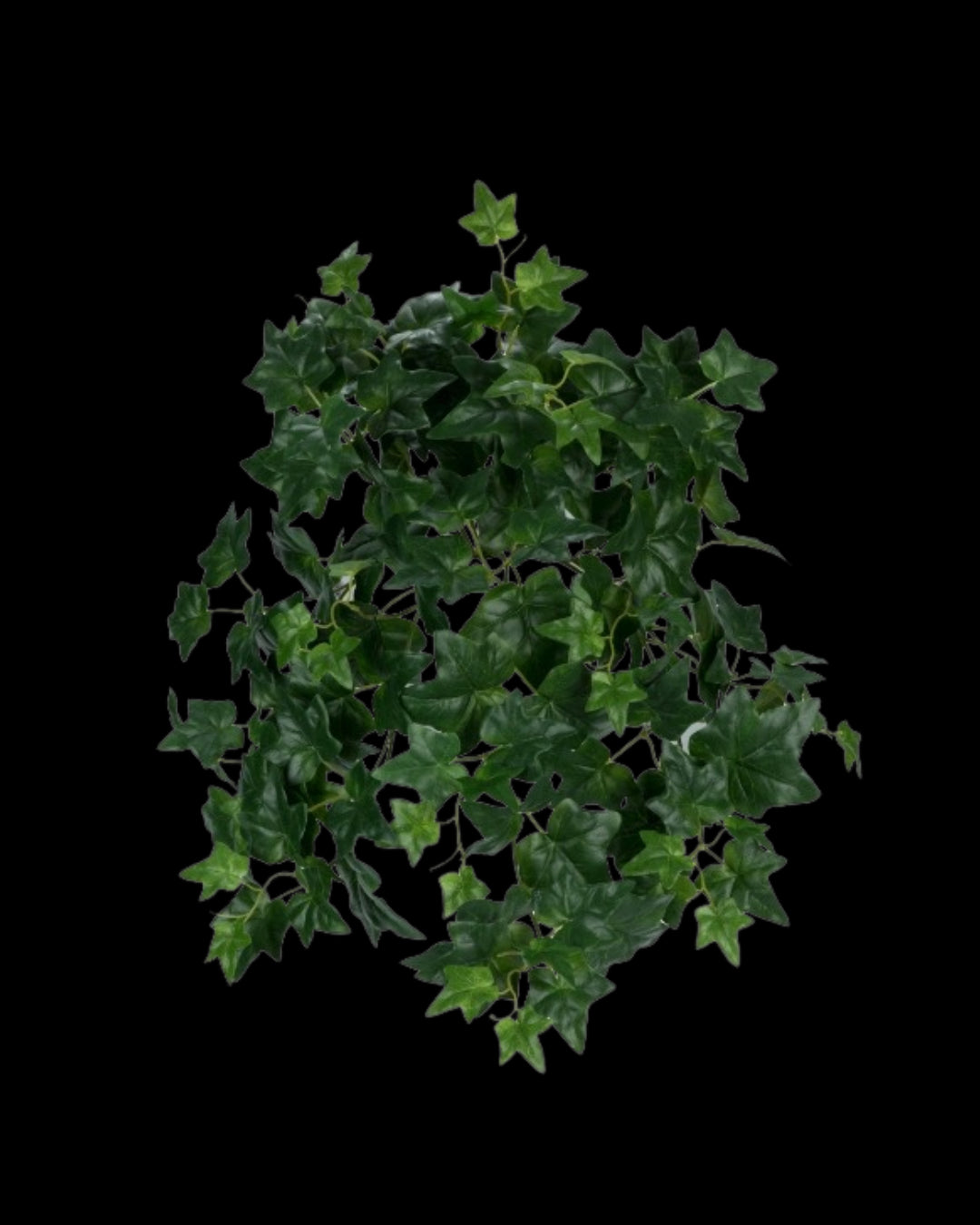 Kunstplant Ivy steker 66cm (set van 3)