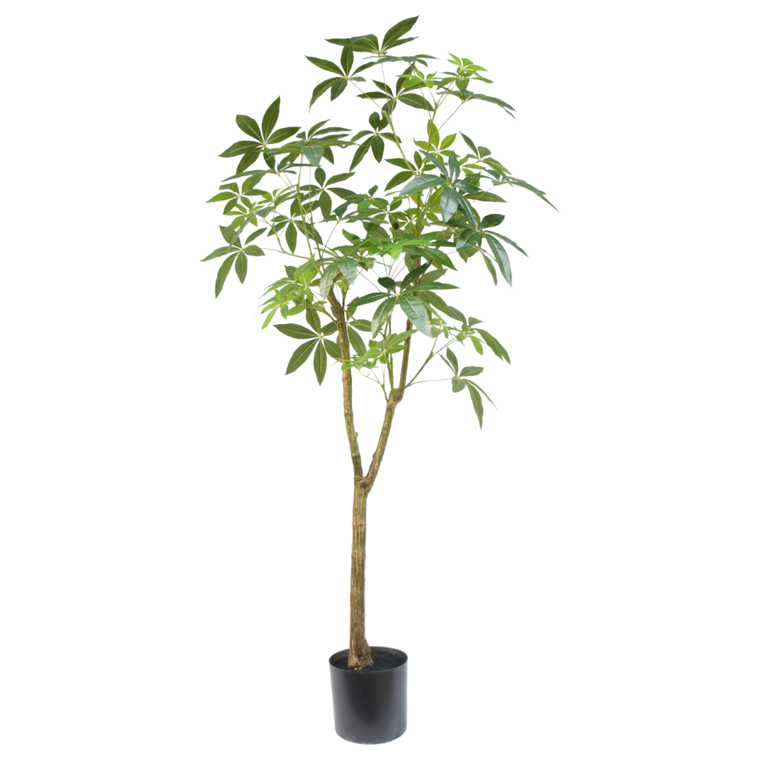 Kunstplant Schefflera boom 180cm