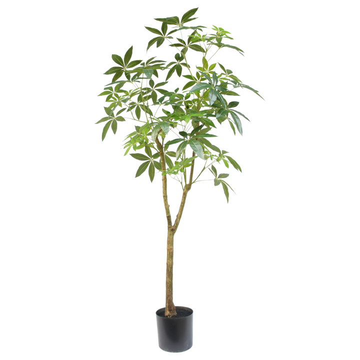 Kunstplant Schefflera boom 180cm