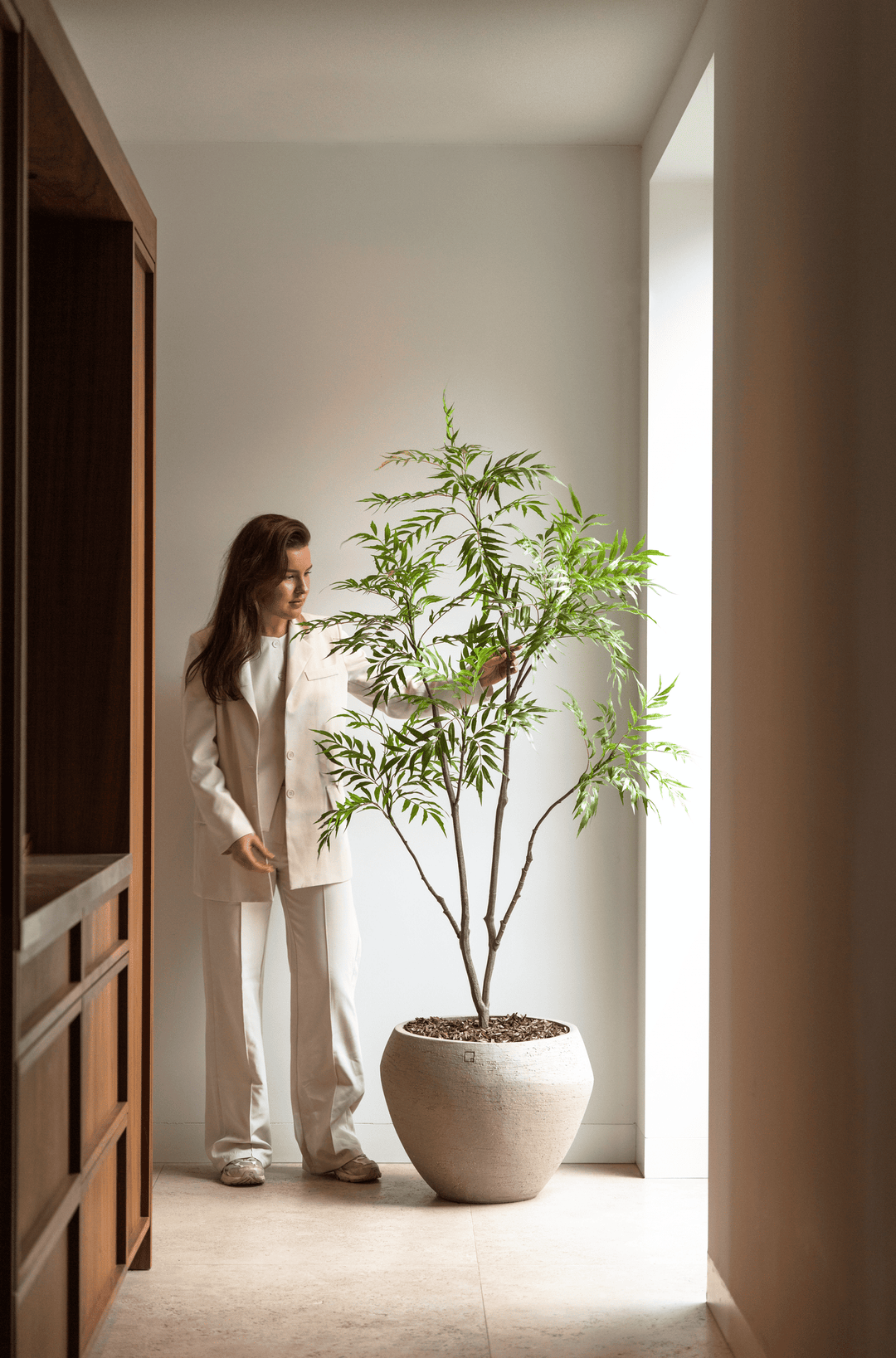 Bamboe boom 180cm