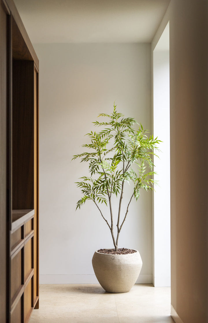 Bamboe boom 180cm