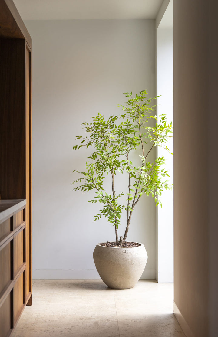 Nandina boom 180cm Silk House