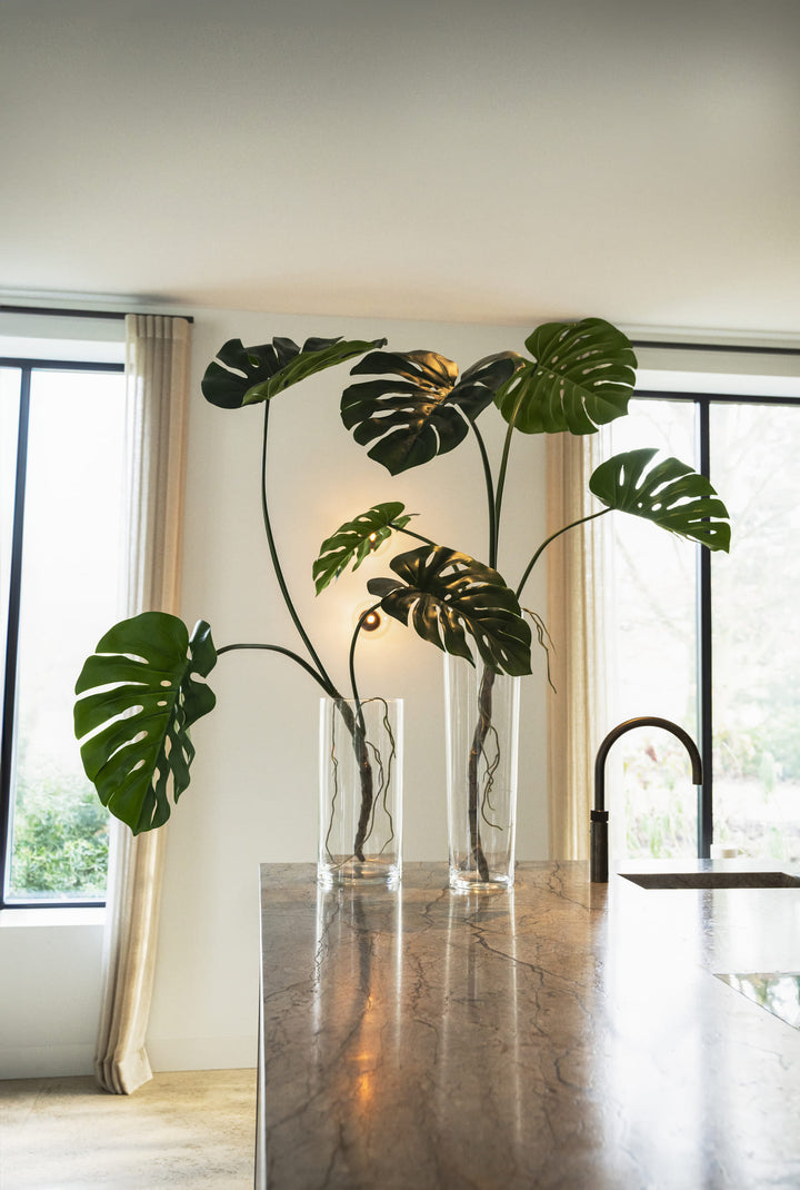 Monstera tak 120cm
