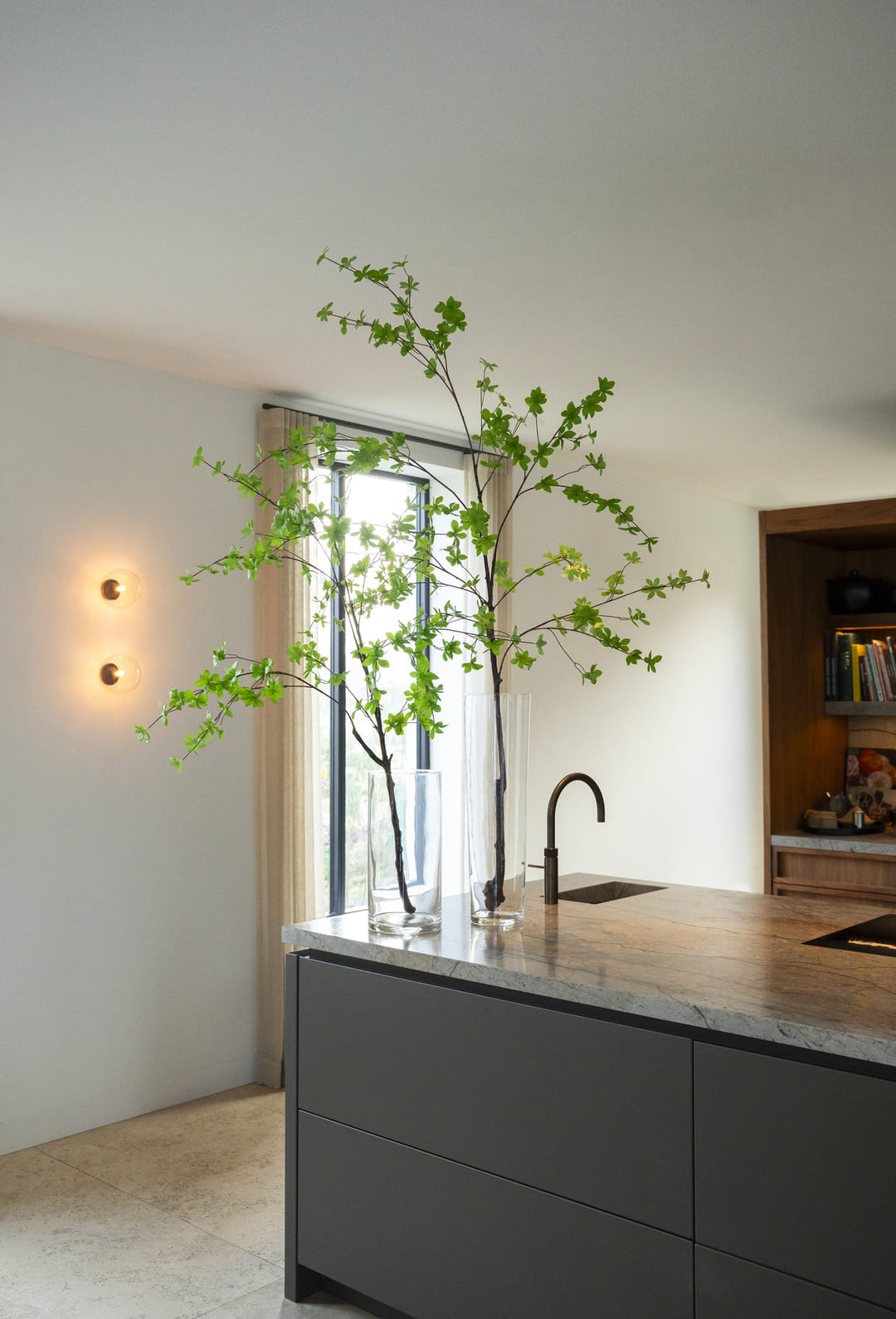 Enkianthus tak 180cm