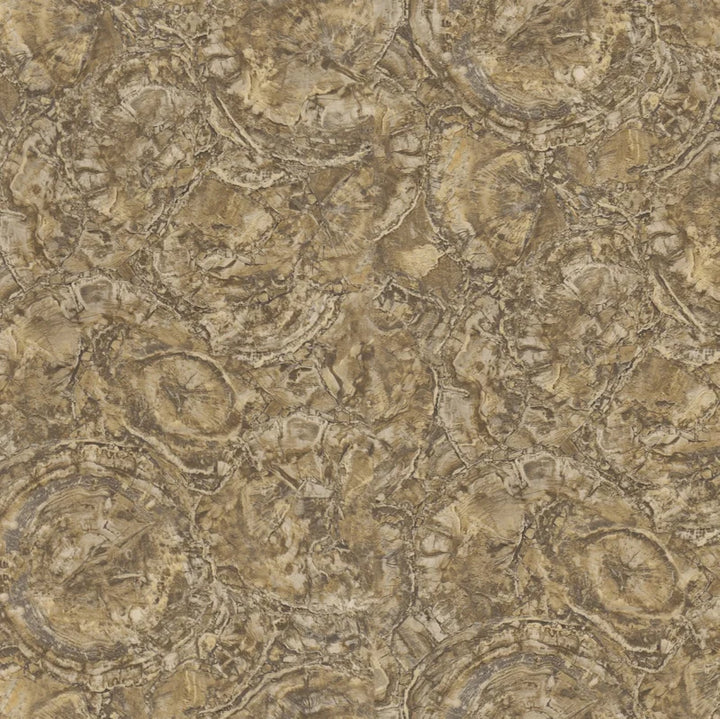 Dutch First Class Carrara 85615