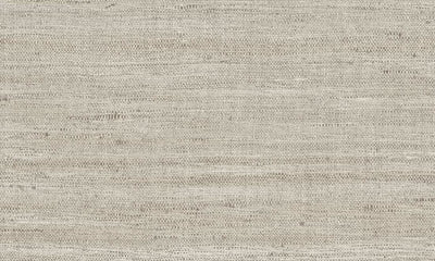 ARTE Textura Lignes Sandstone - 40511A