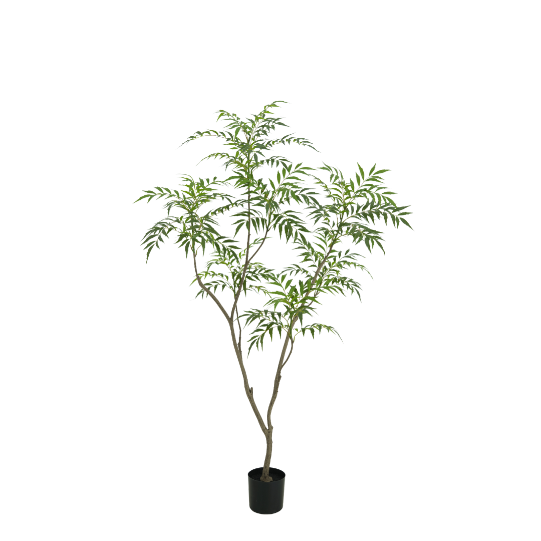 Bamboe boom 180cm