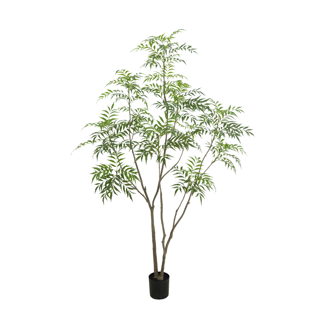 Bamboe boom 240cm