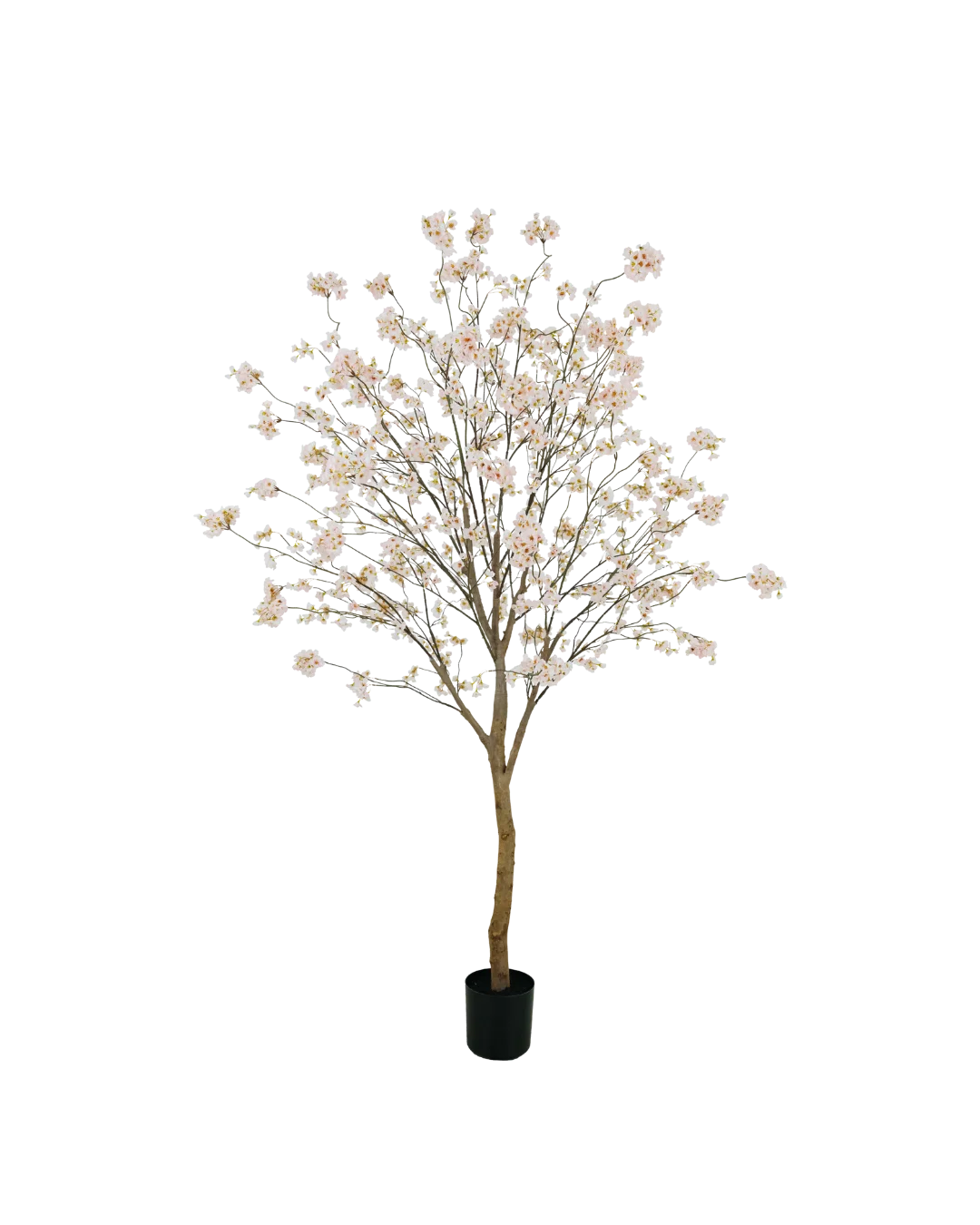 Bloesemboom roze 180cm