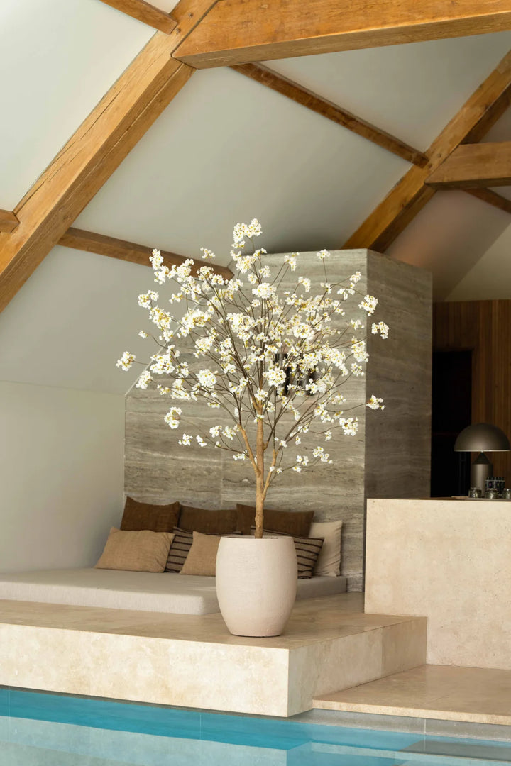 Bloesemboom crème 180cm
