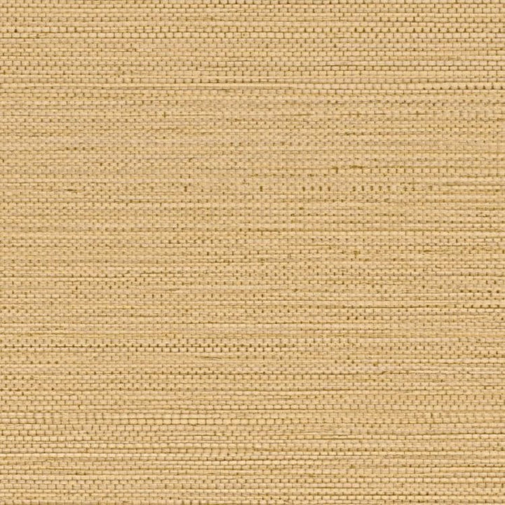 Casamance Zostera Coquille - 75971834