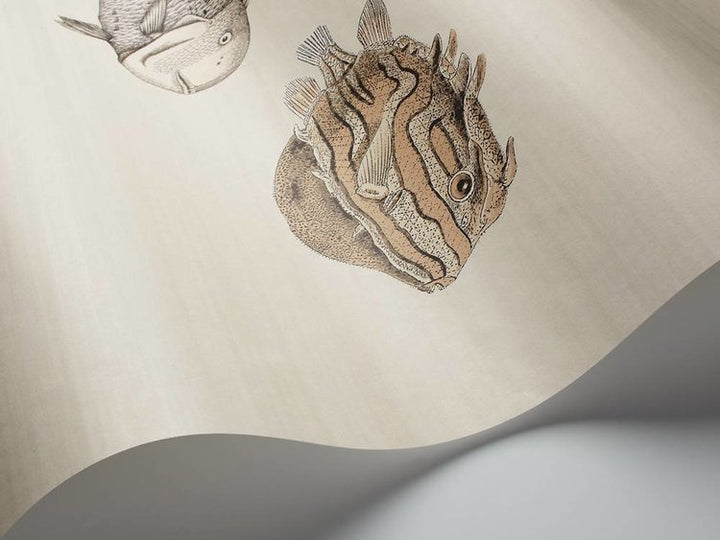 Cole and Son Acquario 114/16033