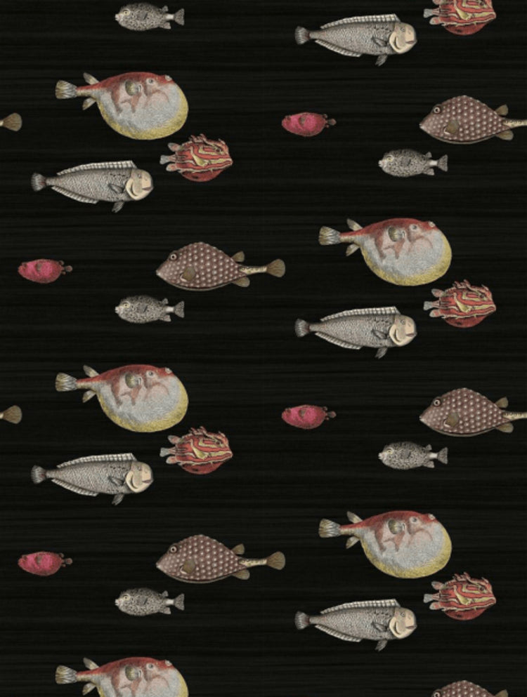 Cole and Son Acquario 97/10048