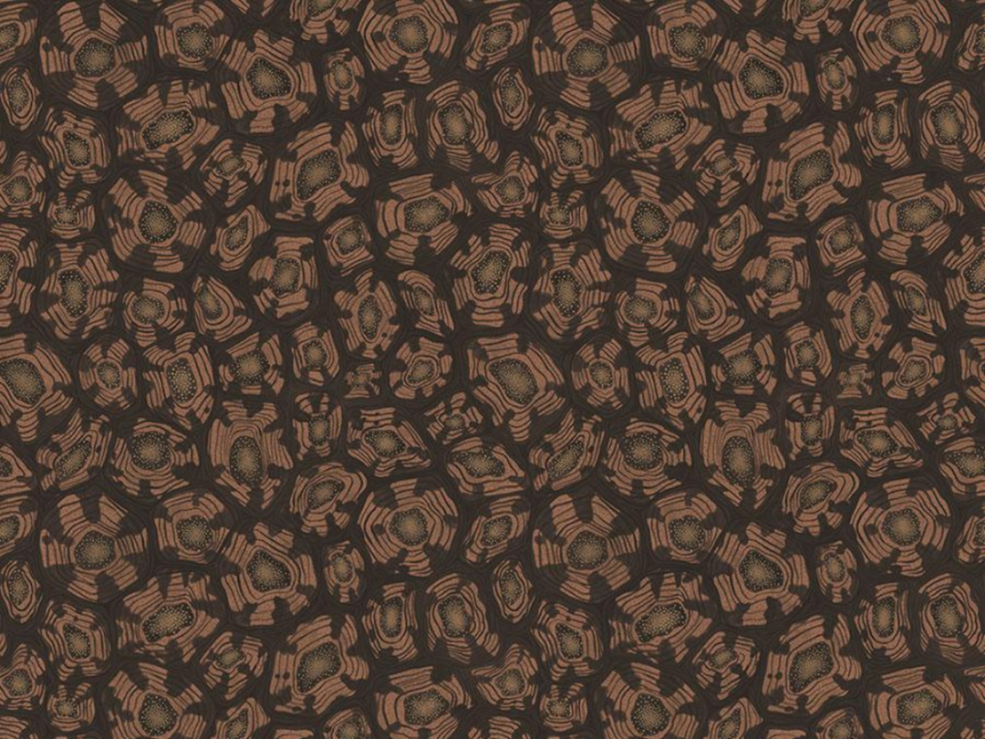 Cole and Son Savanna Shell - 119/4018