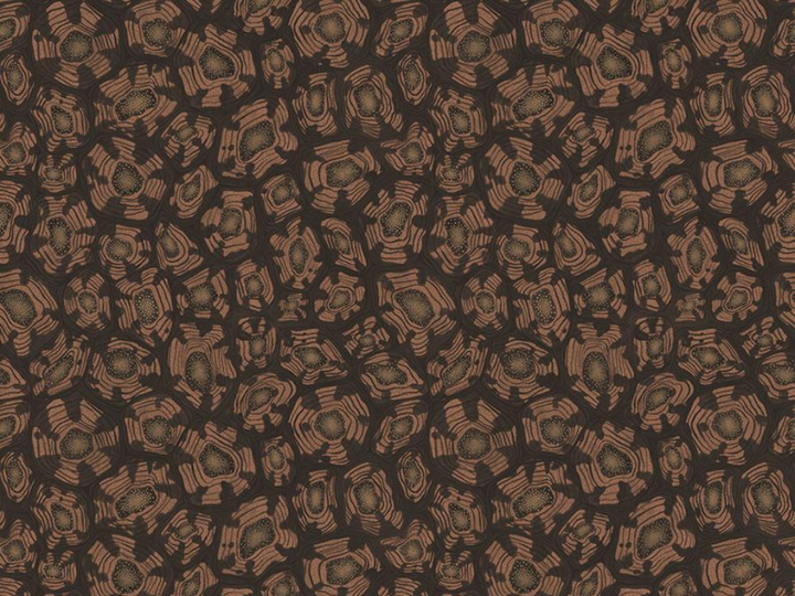 Cole and Son Savanna Shell - 119/4018