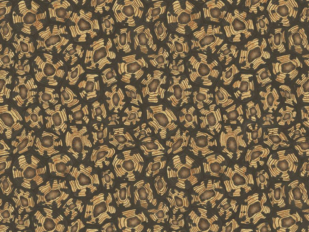 Cole and Son Savanna Shell - 119/4019