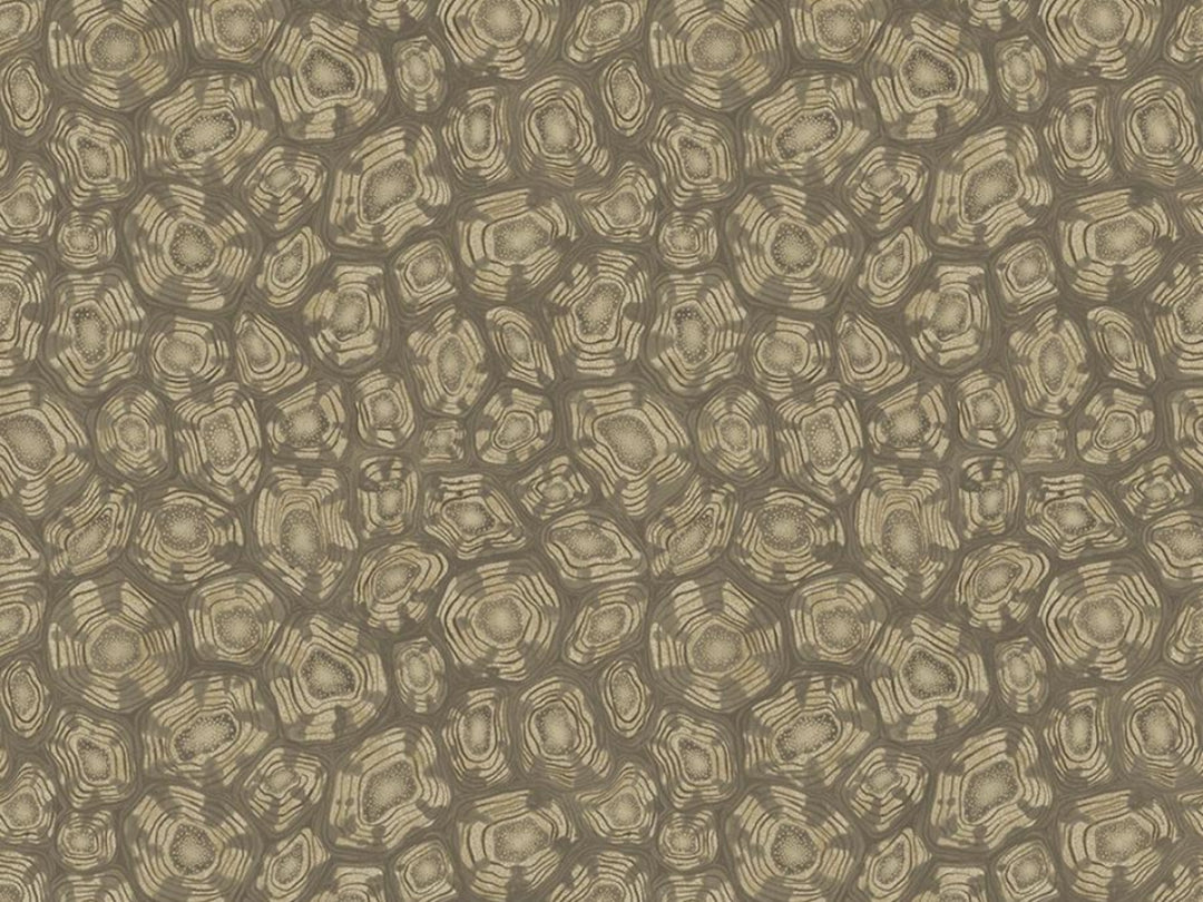 Cole and Son Savanna Shell - 119/4020