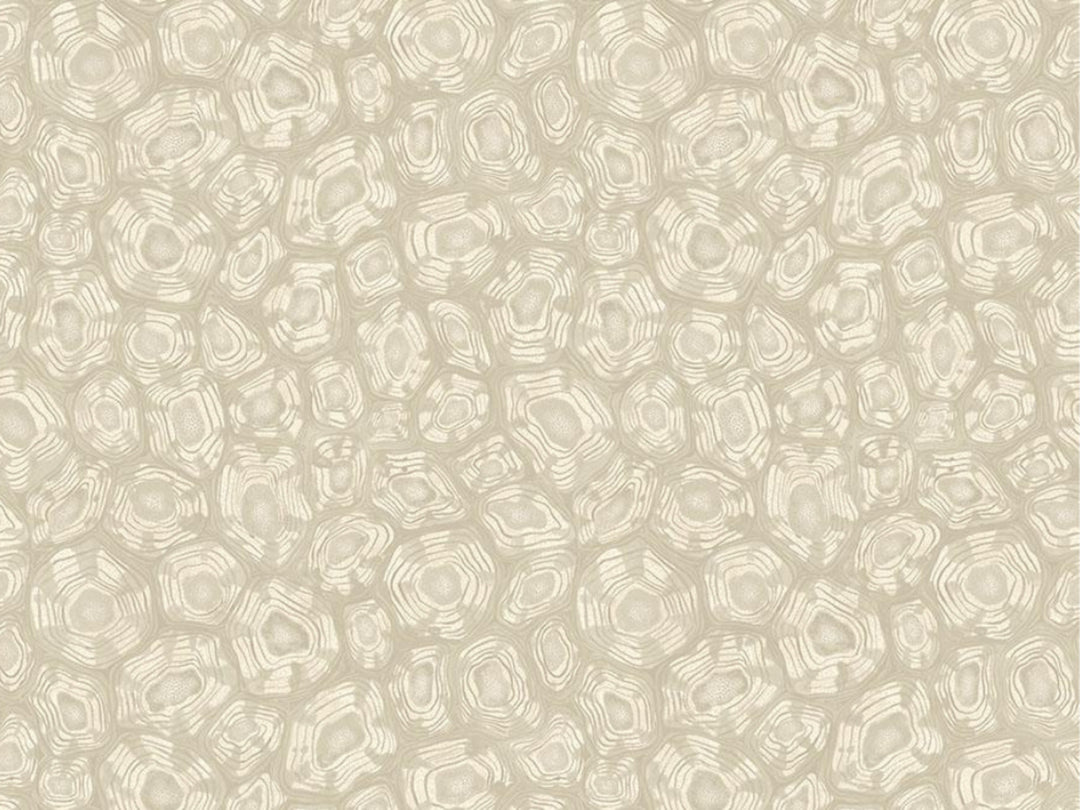 Cole and Son Savanna Shell - 119/4021
