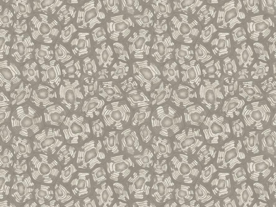 Cole and Son Savanna Shell - 119/4022