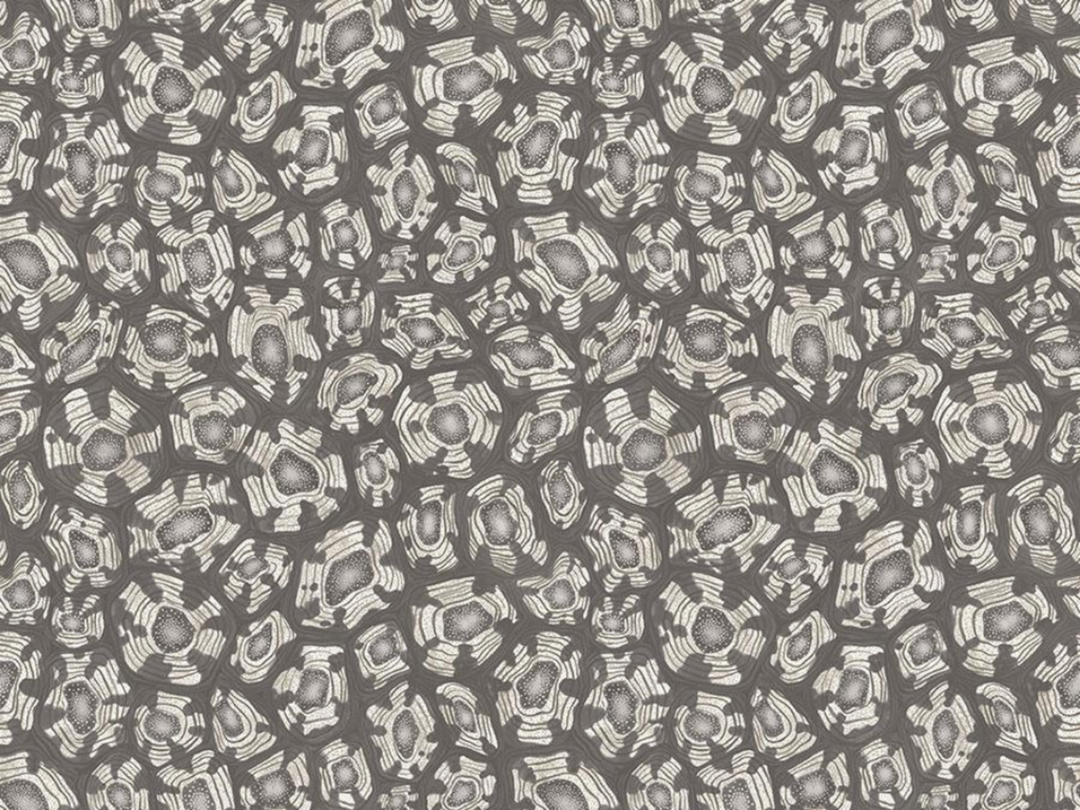 Cole and Son Savanna Shell - 119/4023