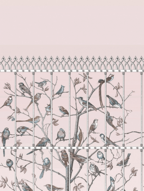 Cole and Son Uccelli 114/11022