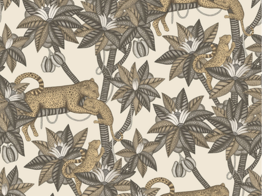 Cole en Son Satara - 119/3013