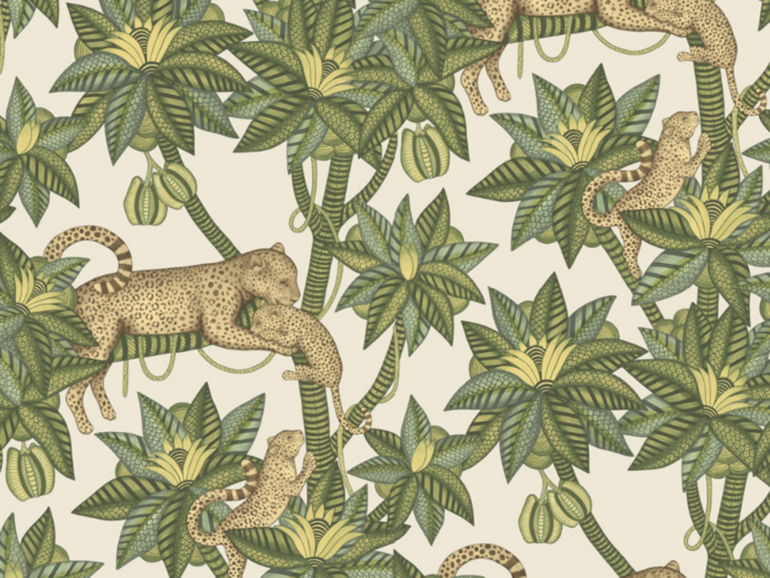 Cole en Son Satara - 119/3015