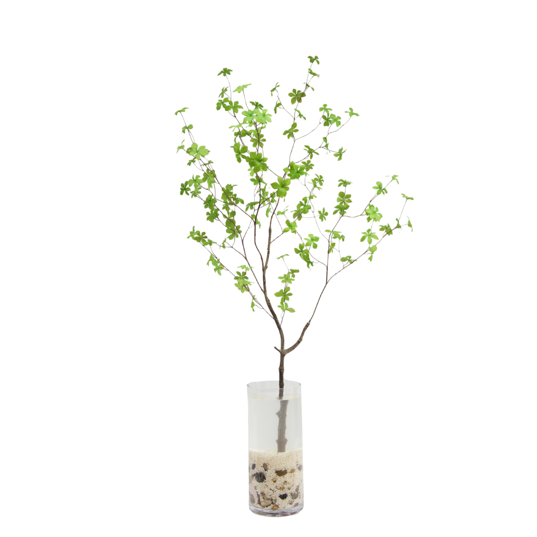 Enkianthus tak 150cm