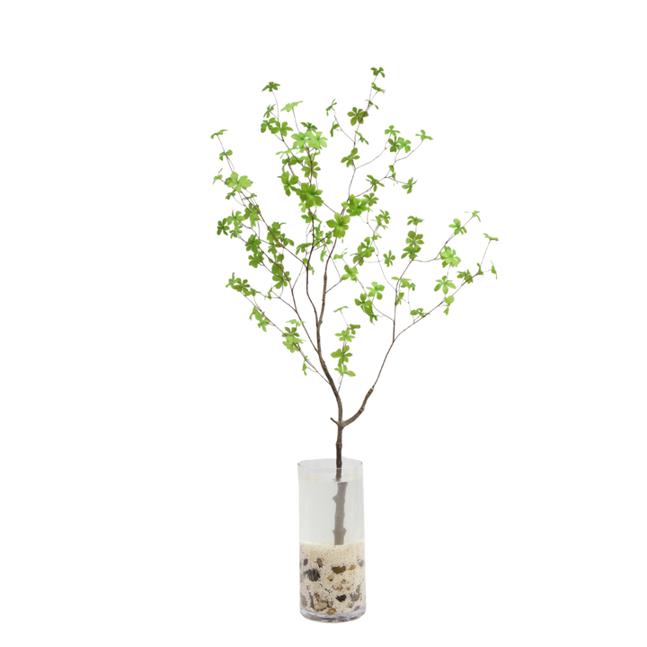 Enkianthus tak 150cm