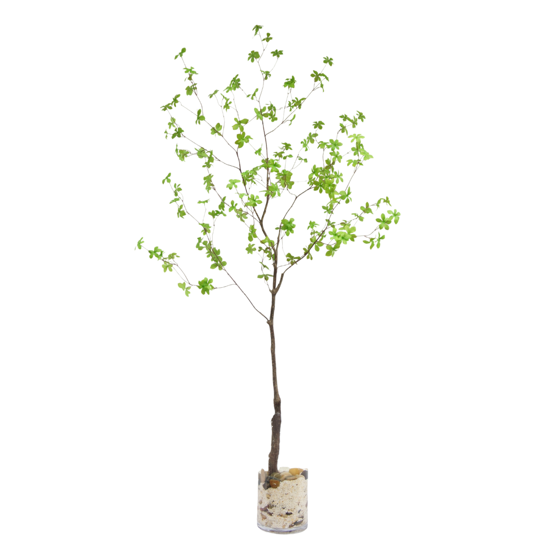 Enkianthus tak 180cm