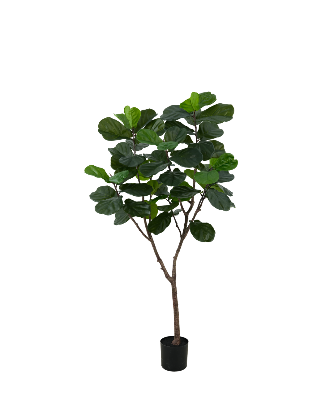 Kunstplant Ficus Lyrata Kunstboom – 180 cm | Silk House