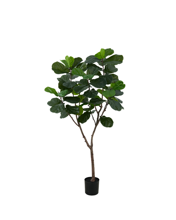 Kunstplant Ficus Lyrata Kunstboom – 180 cm | Silk House