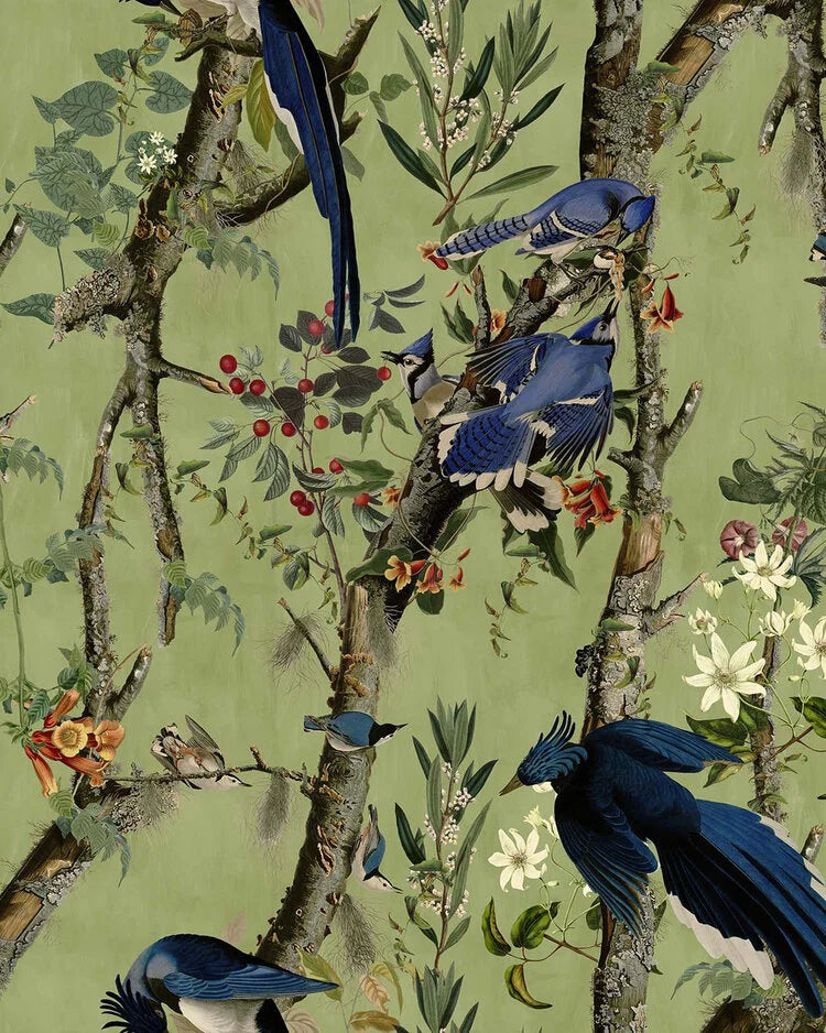 Mind the Gap behang Birds of Nature - WP20715