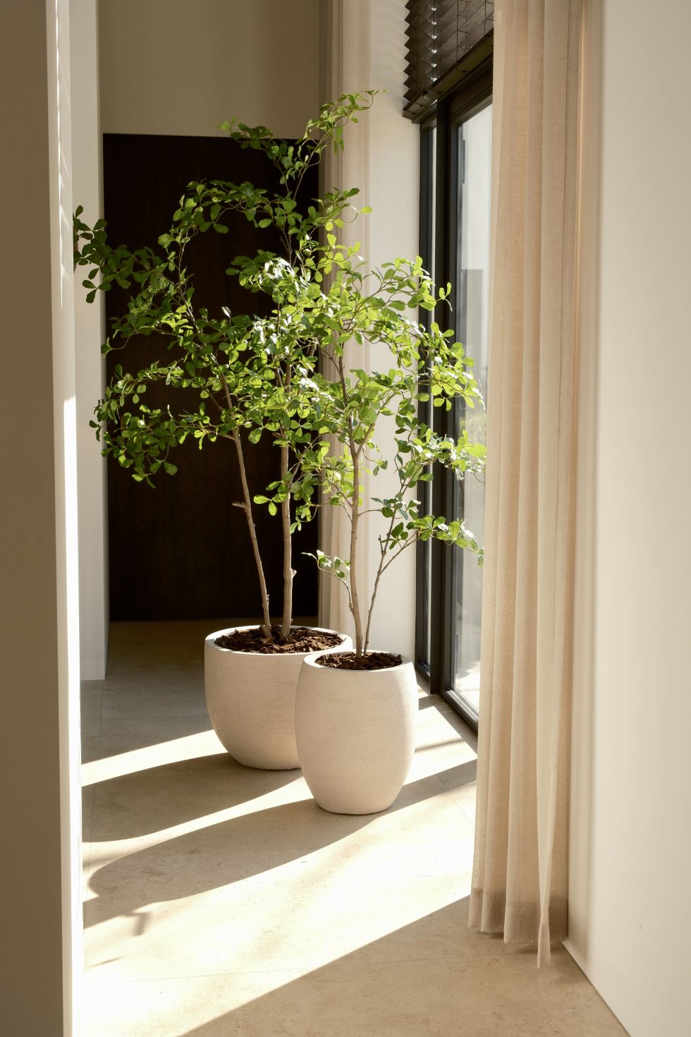 Silk House Mooring Tree 150 cm